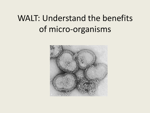 Helpful Micro-organisms 