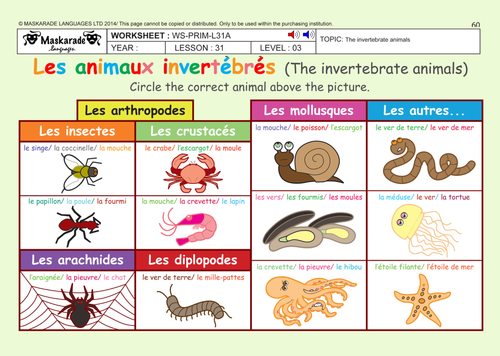 FRENCH (UNIT 6: FRIENDS & ACTIVITIES): Year 5/6: The vertebrate and invertebrate  animals | Teaching Resources