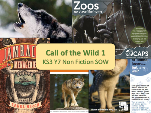 "Call of the Wild" a non-fiction SOW based on the NEW GCSE English Paper 2 KS3 or KS4