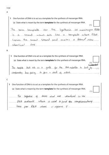 Edexcel biology a level specification 2020 image