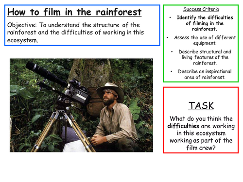 Filming in a Rainforest - Rainforest  Structure 