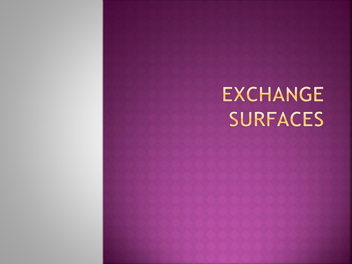Exchange Surfaces