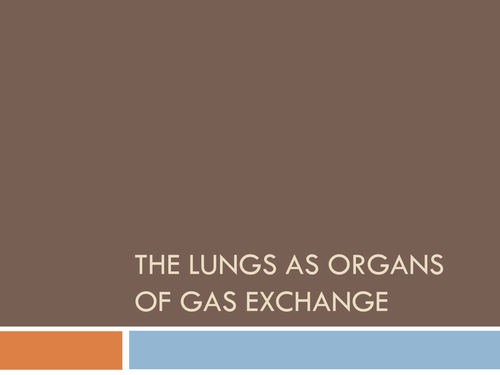 The Lungs as Organs of Gas Exchange