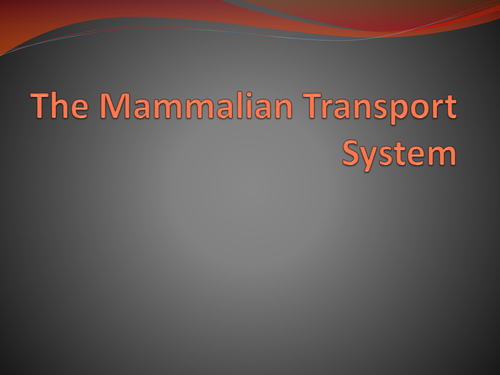 The Mammalian Transport System