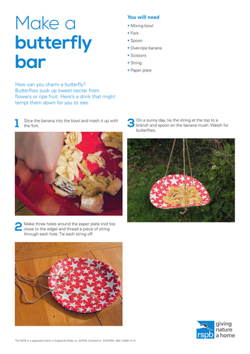 Food and Drink: Make a butterfly bar