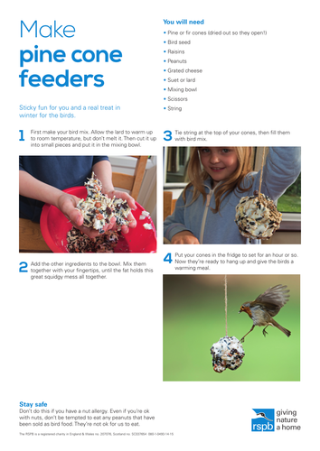 Food and Drink: Make a pine cone bird feeder