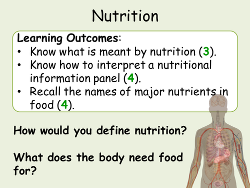 KS3 Food and Digestion