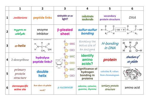 New AQA A-Level Chemistry Amino acids, Proteins & DNA Learning Grid