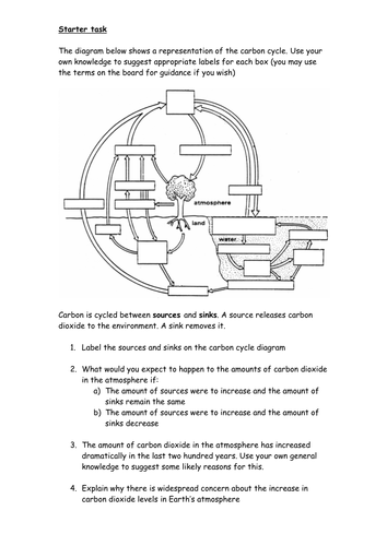 Carbon cycle review