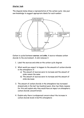 Carbon cycle revision