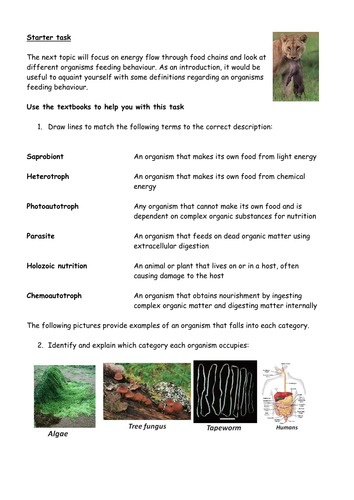 Types of nutrition