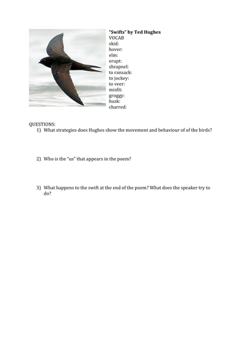 Swifts and A March Calf by Ted Hughes Analysis Worksheet