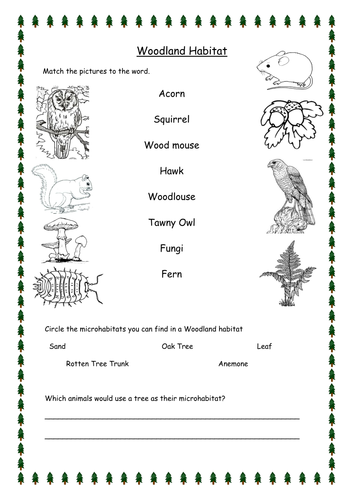 pdf animal worksheet homes Worksheets Habitat by (Differentiated) Woodland