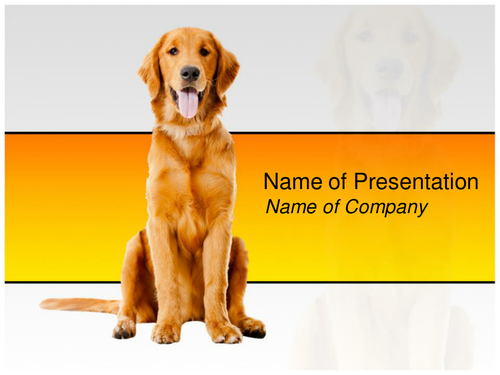 beautiful-dog-ppt-template-teaching-resources