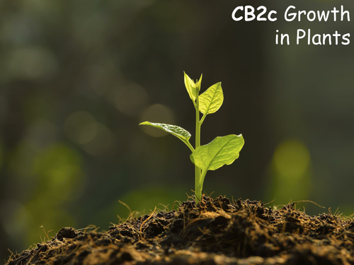 Edexcel CB2c Growth in Plants