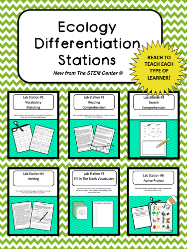 Ecology Differentiation Stations