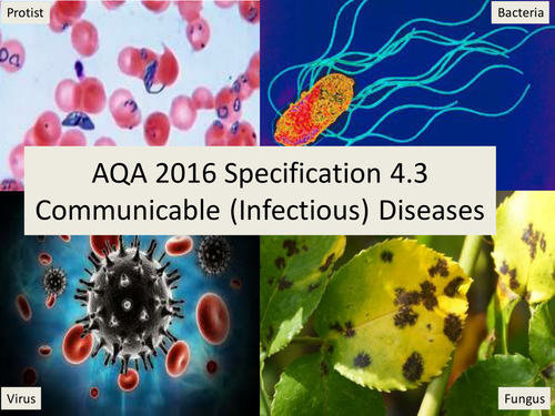 AQA GCSE Biology 2016 Specification 4.3 Communicable  Diseases - Infection and Response 