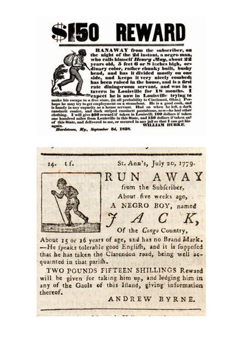 Slavery Case Study Activity Jamaican Maroons 