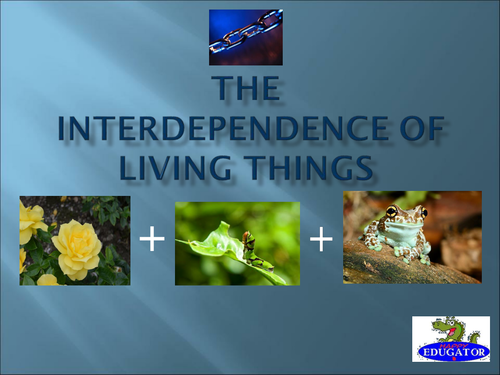 Interdependence of Living Things PowerPoint