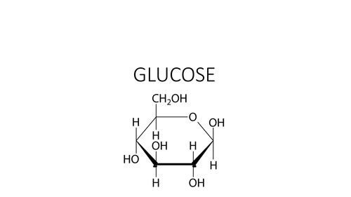 Respiration - glycolysis card sort