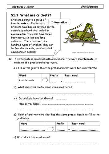 Spag Science Key Stage 2 Activity Pack Sound - 