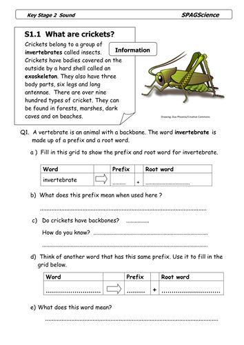 SPAG Science Key Stage 2 Activity Pack - Sound