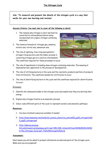 Nitrogen Cycle - independent learning task