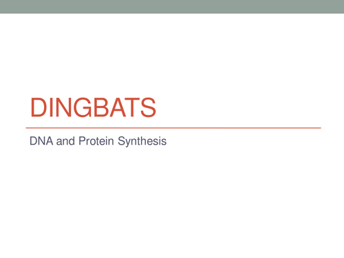 DNA and Protein Synthesis Dingbats