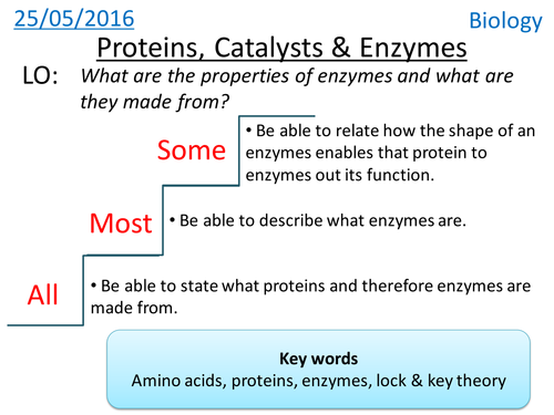 Properties of enzymes - NEW GCSE
