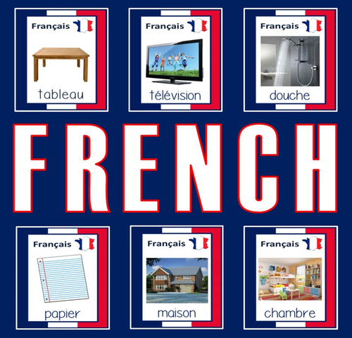 FRENCH AND ENGLISH FLASHCARDS LANGUAGE TEACHING RESOURCES EDUCATION DISPLAY