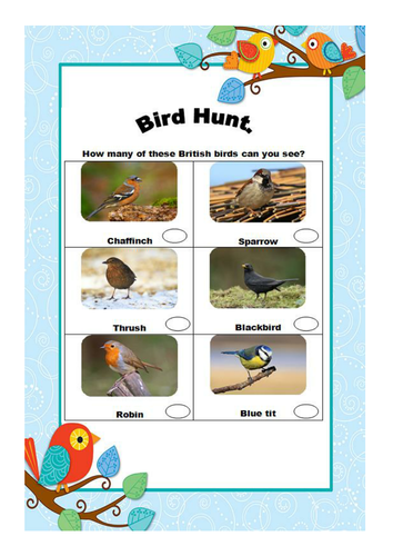 KS1 Science British bird hunt activity