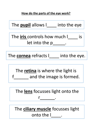 parts of the eye worksheet by benmarshall939 teaching resources tes