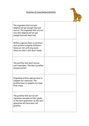 Natural Selection Worksheet Tes - Worksheetpedia