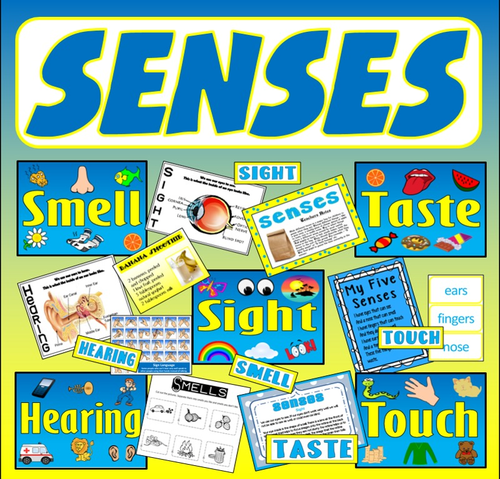 SENSES TEACHING RESOURCES EYFS KEY STAGE 1-2 SIGHT HEARING TOUCH TASTE ...