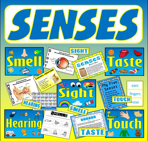 SENSES TEACHING RESOURCES EYFS KEY STAGE 1-2 SIGHT HEARING TOUCH TASTE SMELL