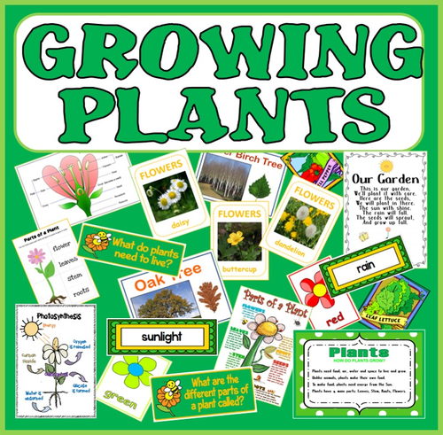 GROWING PLANTS SCIENCE TEACHING RESOURCES EARLY YEARS KEY STAGE 1-2 FLOWERS TREES SCIENCE
