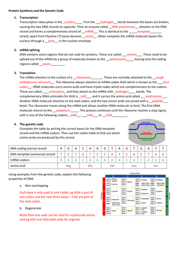 Protein synthesis and the genetic code