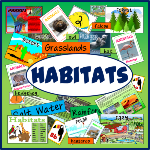 Habitats Animals Science Resources Display Early Years Ks1 2