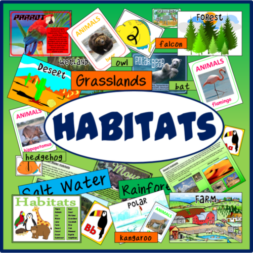 HABITATS ANIMALS SCIENCE RESOURCES DISPLAY EARLY YEARS KS1-2 WEATHER |  Teaching Resources
