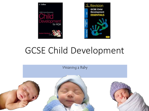 GCSE - Child Development 
