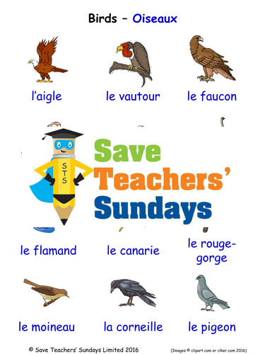 Birds in French worksheets, games, activities and flashcards