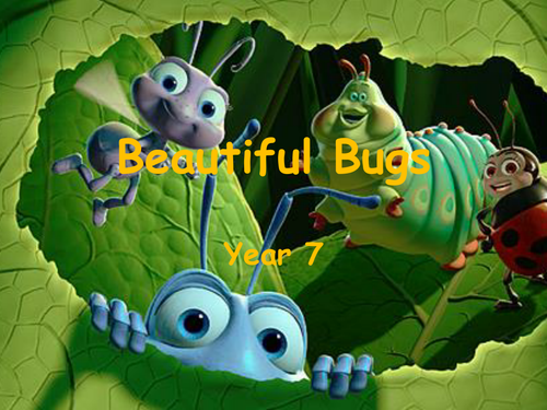 Beautiful Bugs