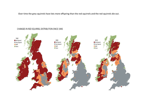 Species, Native and Introduced Species