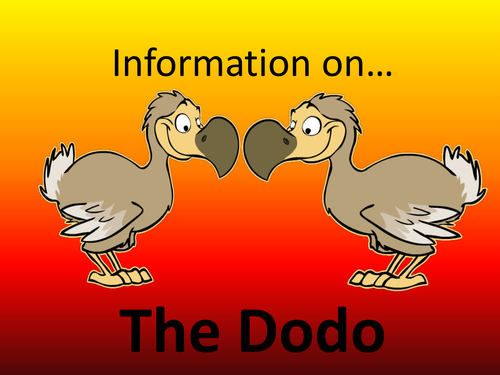The Dodo presentation - engaging, visual writing stimulus on the extinct bird from Mauritius 