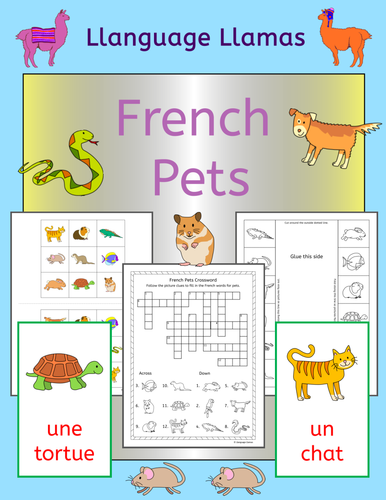 French Pets activities, worksheets and games