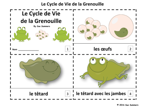 French Frog Life Cycle 2 Emergent Reader Booklets