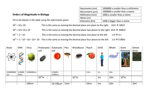 Orders of magnitude worksheet - AQA Biology (9-1) new GCSE