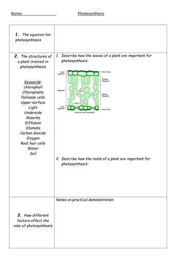 Photosynthesis GCSE | Teaching Resources