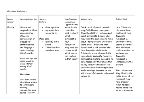 Mad about Minibeasts Activities and Plans