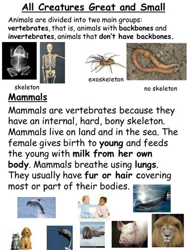 Shared reading: mammal, amphibian, reptile, bird, fish or invertebrate?